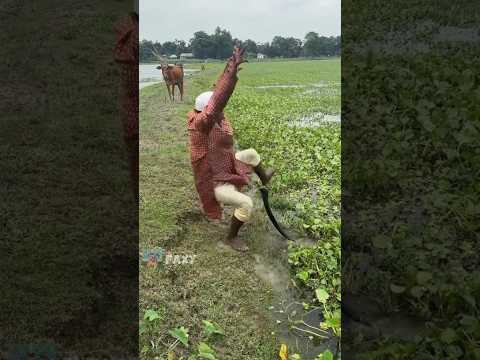 Meme absurd bikin full ketawa brutal #meme #absurd #memes