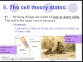 Cell Theory and Function Concepts