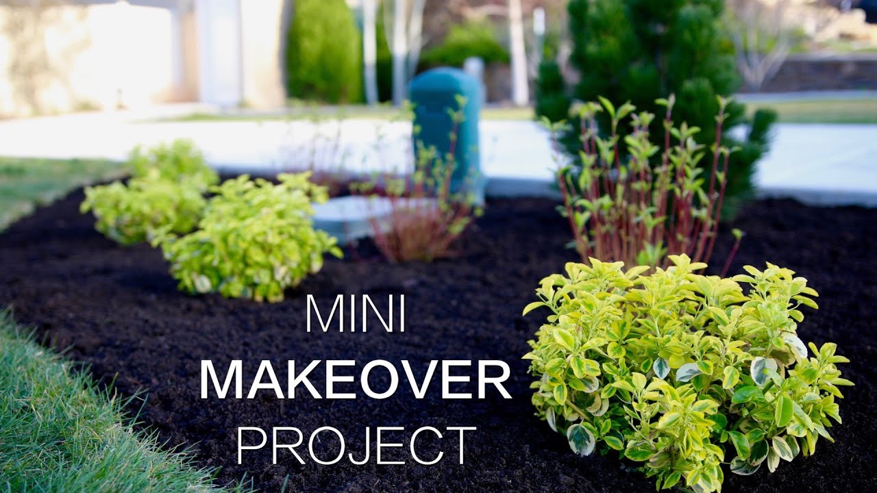 Mini Makeover Project #26