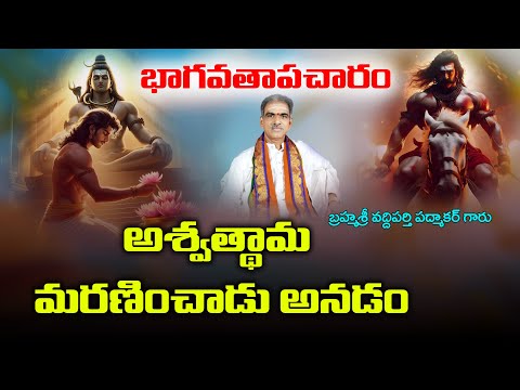 భాగవతాపచారం-అశ్వత్థామ మరణించాడు అనడం | Bhagavatham| By Brahmasri Vaddiparti Padmakar Garu