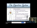 Exploring the Digestive System
