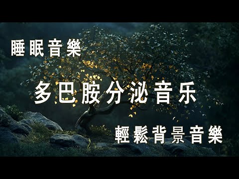 【 100%無廣告 ,睡眠音樂】睡眠音乐 一秒入睡! 睡眠音樂無廣告 ,多巴胺分泌音乐 钢琴曲目,甜美療癒、放鬆音樂、輕鬆背景音樂