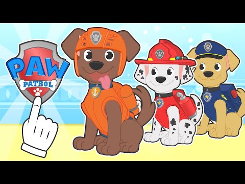 BABY PETS 🐕‍🦺🐕‍🦺 Max the Dog dress up as Paw Patrol member ZUMA