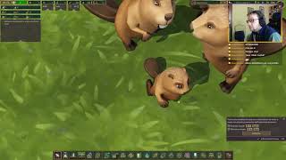 Lyezar on Air - Castori Tuttofare! | Timberborn [ !instant - !mangayo - !giveaway ]