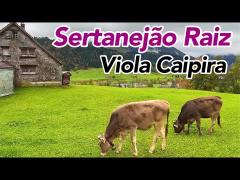 SÓ SERTANEJÃO CAIPIRA - Pra Recordar os Velhos Tempos Antigos