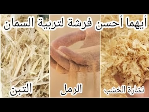 واش أحسن فرشة لطائر السمان؟