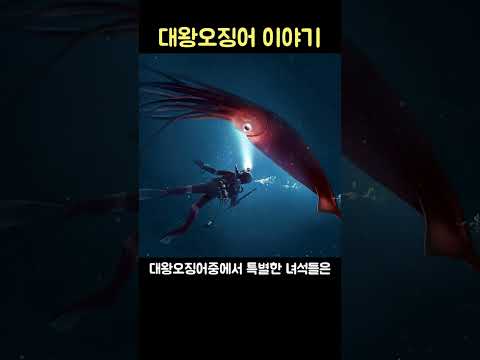 우리가 몰랐던 대왕오징어 이야기
