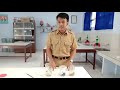 Understanding the Greenhouse Effect