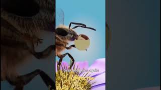 do you know what you eat-The Honey