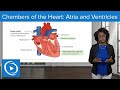 Heart Anatomy and Function Concepts
