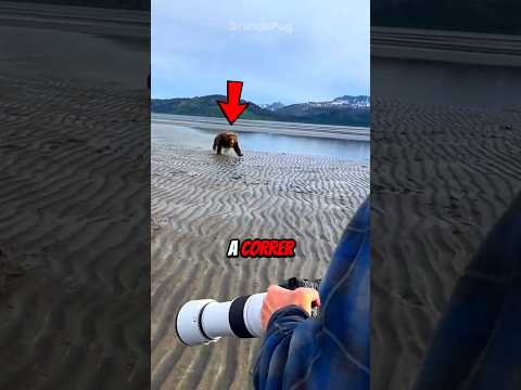 ESCAPE de um Urso Bravo 😨