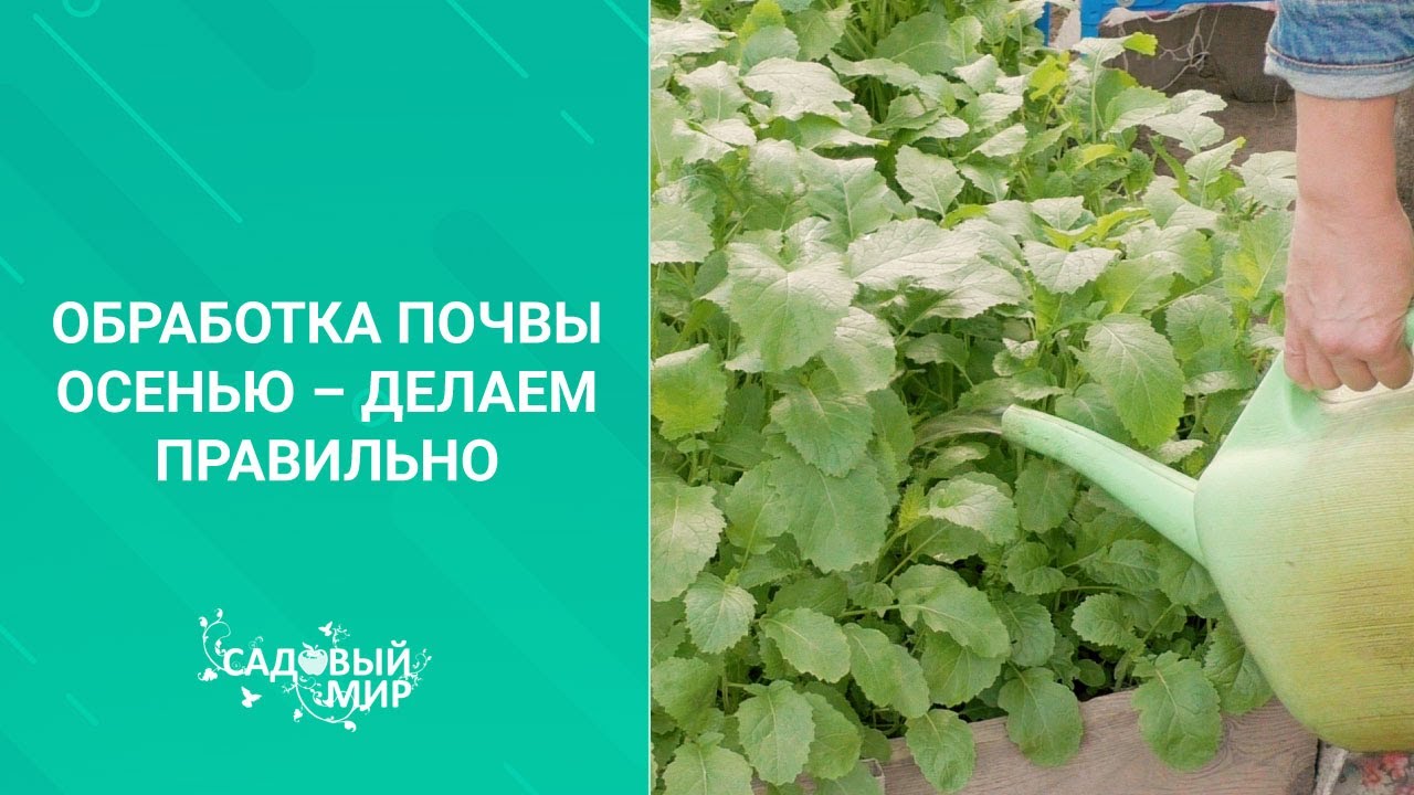 Обработка почвы осенью делаем правильно