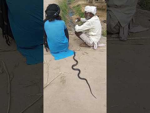 The snake came to the man