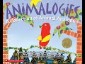 Analogies and Student Projects