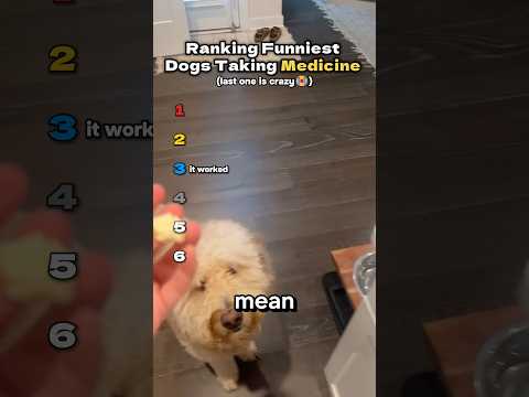 Dogs do not like medicine😂. #shorts #ranked #dog