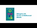 Exploring Chapter 40 of Fish in a Tree