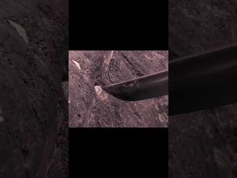 😱The man uses his brain to shoot #movie #shortvideo