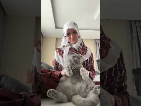 Ponçiğimde testi geçti 🥰