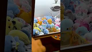 日本滑雪囉!就找 @Miyokotour