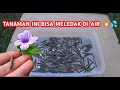 Identificação de Palavras em Vídeo