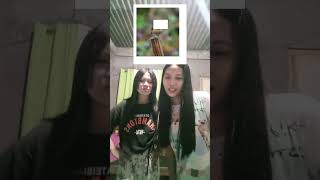 animal face challenge