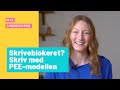 Forståelse af PI-modellen