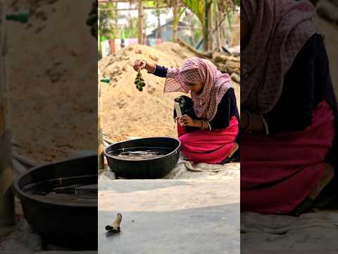 farming reel๐๐ #song #farming #khetibadi #dailyshorts #virulshorts