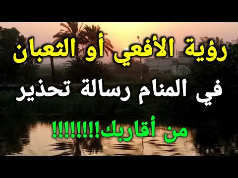 تفسير رؤية الأفعي أو الثعبان في المنام رسالة تحذير من أقاربك!!