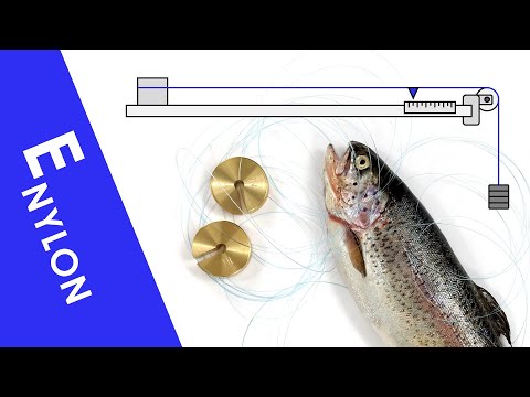 Young Modulus of Nylon (with a Fish) - A Level Physics