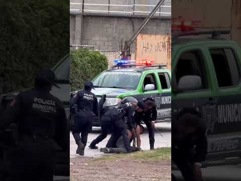 Amor y paz jefe todo tranquilo #humor #memes #police #viralvideo #shorts #reels #justicia