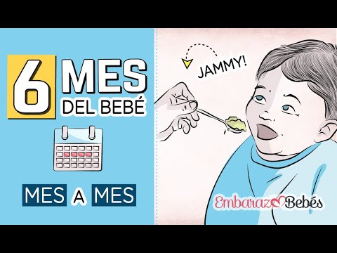 📆👶🏻 SEXTO MES del bebé | 6 MES | Desarrollo y cuidados