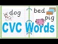 CVC Words: Real vs. Nonsense Challenge
