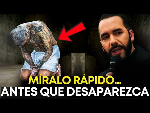 El SALVADOR HOY 15 de Junio 2025, Noticias de El Salvador 15 de Junio 2025, EL SALVADOR pandilleros
