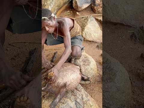 Cooking Porcupines with hadzabe tribe it’s very delicious #tradition #bushcraft