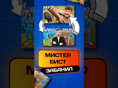 МИСТЕР БИСТ В СОЛО ПРОТИВ МЕДВЕДЯ?! #мистербист