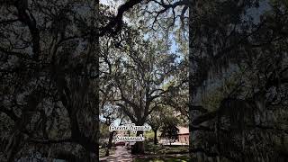 Greene Square - Savannah