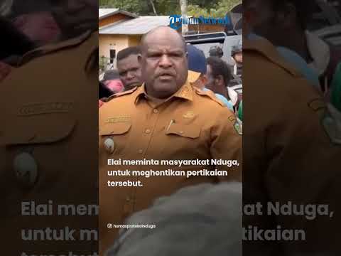 Bupati Nduga Turun Langsung Pimpin Proses perdamaian Perang Suku di Wamena