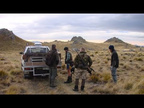 Sasquatch In New Zealand Again! Also, Numerous Other Experiences Shared PLUS A HELP Request   HD 108