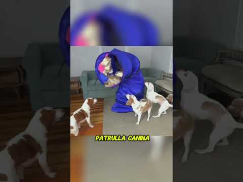 La batalla contra el monstruo de la tubería. #shorts