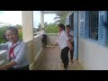 Phân tích các phần của bài viết