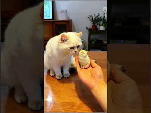 BONEKA BULU UNTUK CICI