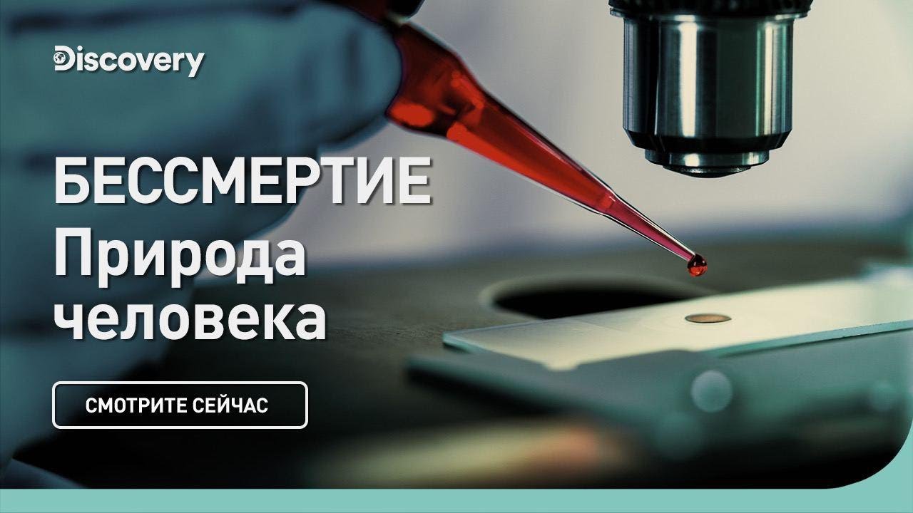Бессмертие Природа человека