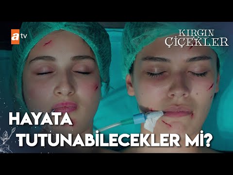 Eylül ve Songül ölüm kalım savaşı veriyor | Kırgın Çiçekler