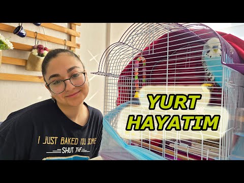 YURT HAYATIM ! YURTTA NELER OLUYOR ?