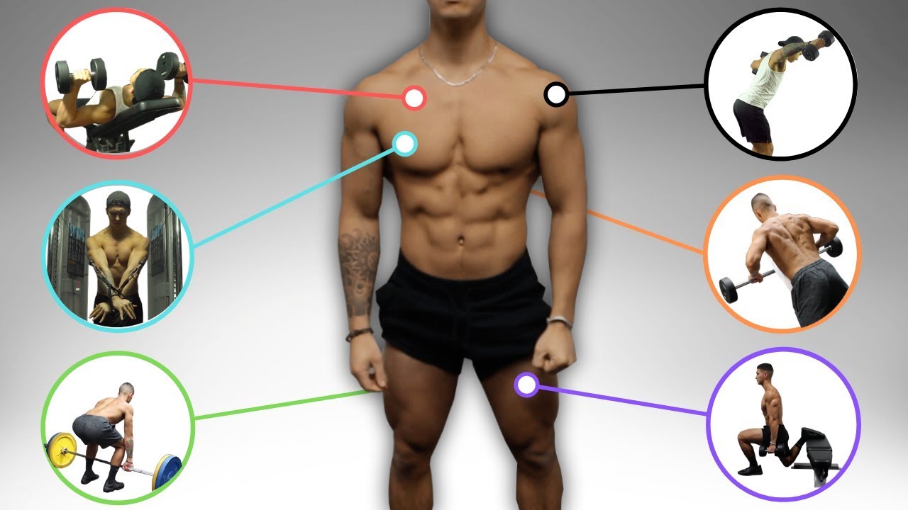 The Best Science-Based Full Body Workout for Size and Strength (Workout B)