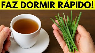 CHÁ FAZ DORMIR IGUAL URSO! Acalma e Combate ANSIEDADE