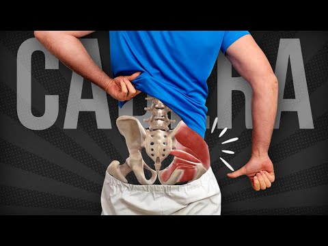 6 EJERCICIOS de CADERA que DEBES hacer