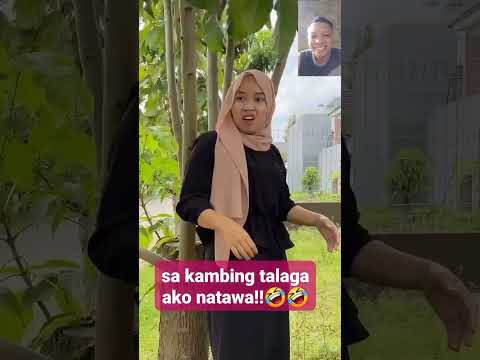 cute ng kambing sumunod sa galawan hahaha #babygoatfollowingmove #cilmar vlog