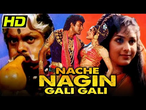 Nache Nagin Gali Gali (HD) - मीनाक्षी शेषाद्रि और नितीश भरद्वाज की सुपरहिट रोमांटिक बॉलीवुड फिल्म