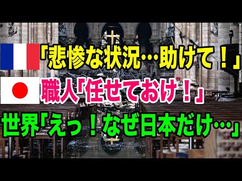 【海外の反応】「どれほどお礼を言ってもたりない・・」ノートルダム大聖堂の修復に携わった日本人にフランスが驚愕！【日本のあれこれ】